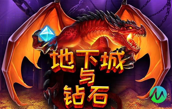 玩彩网